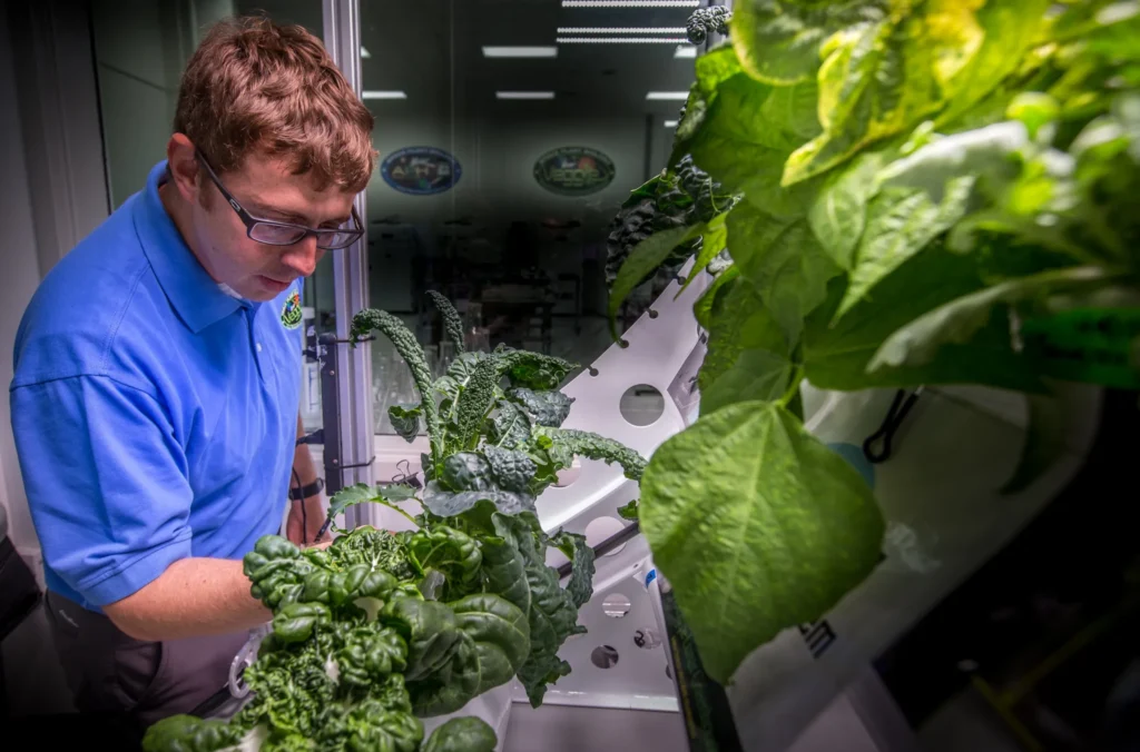 NASA’s Matt Romeyn works in the Crop Food Production Research Area of the Space Station