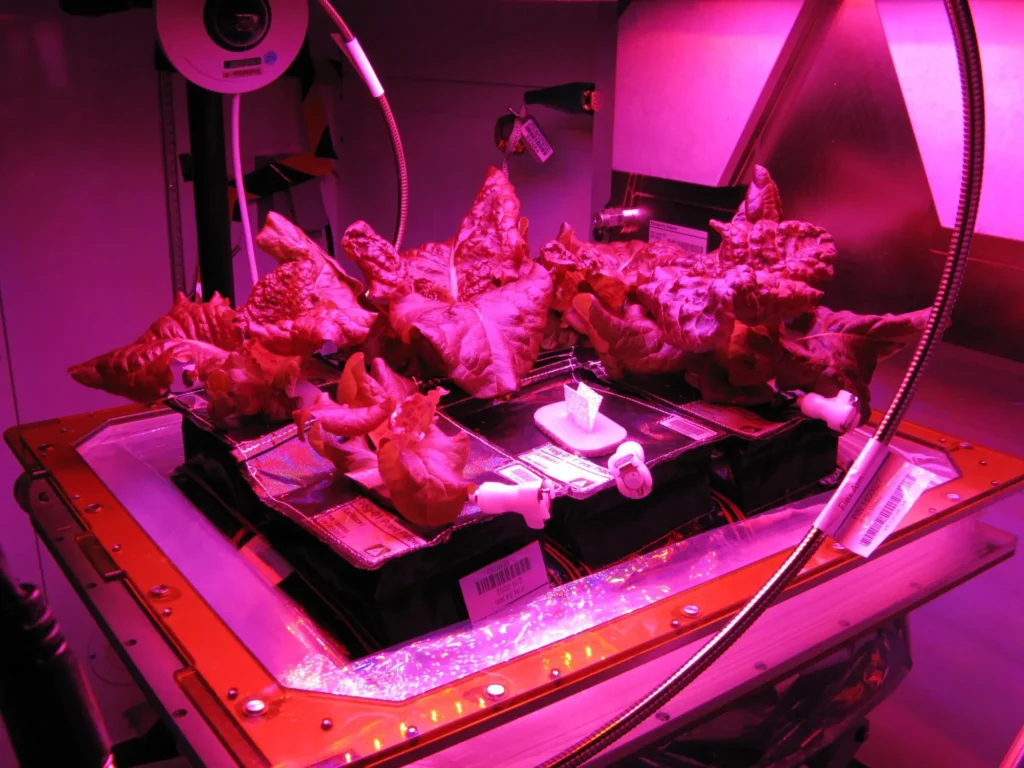 Veggie growth system used for space farming 
