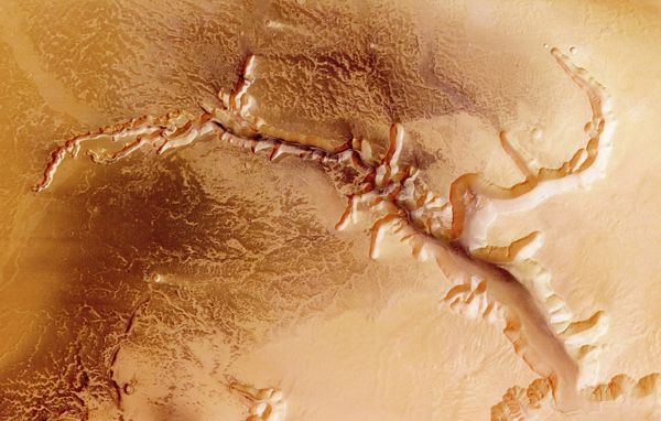 Mars is home to the highest mountain in our solar system