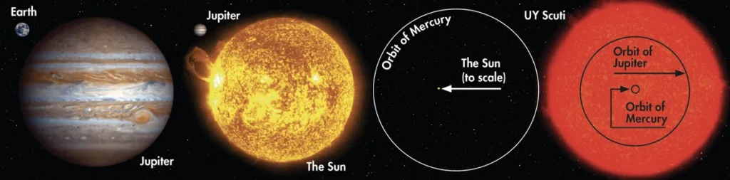 An illustration comparing UY Scuti to planets, orbits and our sun.